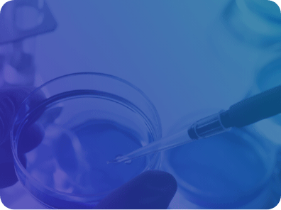 Sample Request Form page